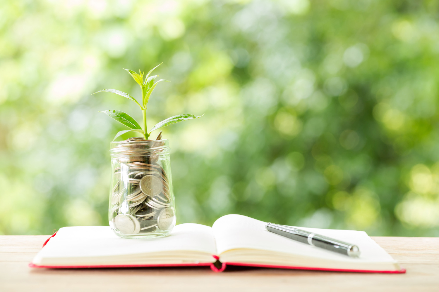 Financial Literacy - Comprehensive 3 Days Program (13 years to adult)